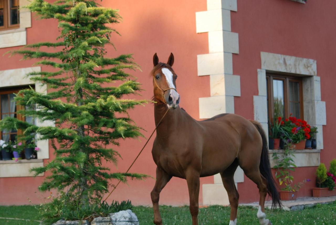 Casucas La Guariza Villa Fontibre Kültér fotó